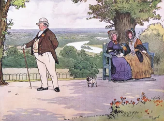 The admiration of numerous elderly ladies of single condition